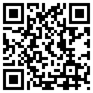 Subway.bug版beta1.0