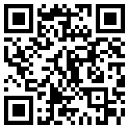 9.1app安装
