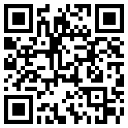 FIFA13汉化版虚拟币版