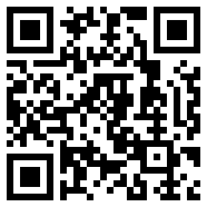 videoLeap