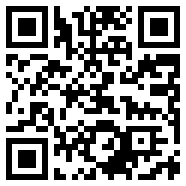 拉力地平线国际服v0.1.0