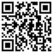 反叛公司