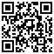 双人篮球v1.0