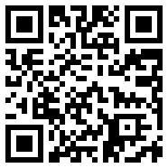 333ae.com