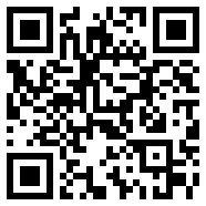 侠盗猎车罪恶都市秘籍飞机LocalAI