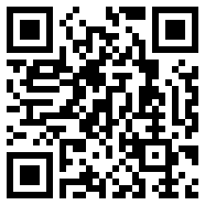 恶霸鲁尼手机版汉化版安卓破解Web1.0版