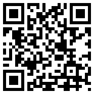 VideoFlyer(VideoFlyer
