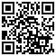 轻量版app