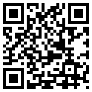 闲置航空公司(IdleAirlineInc