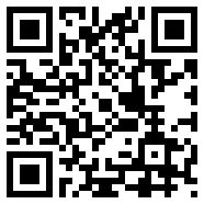 电子游戏平台