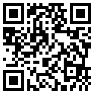 91轻量版app