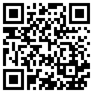 333ae.com