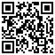 老鸟i主题APP1.1通用版