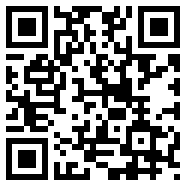 dynamicsport破解版